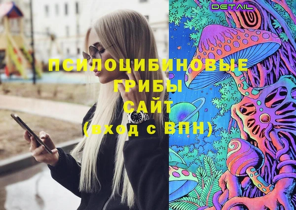 бошки Бронницы